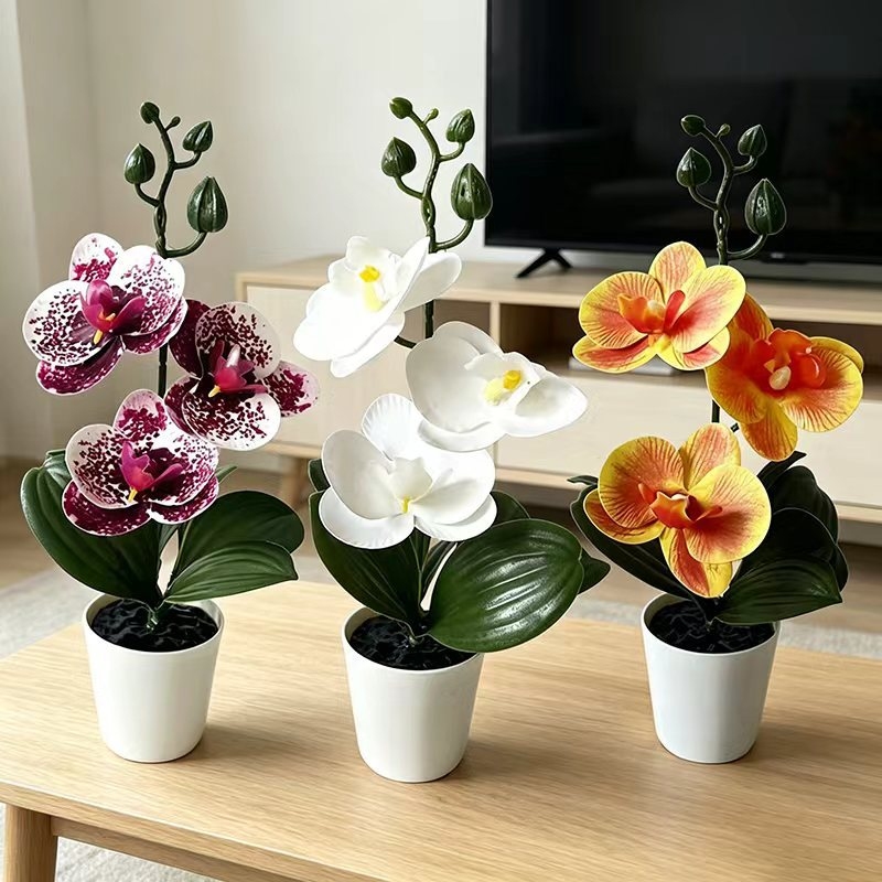 Baby Nursery Ornaments - 미니 나비 난초 화분(꽃 3송이 포함),